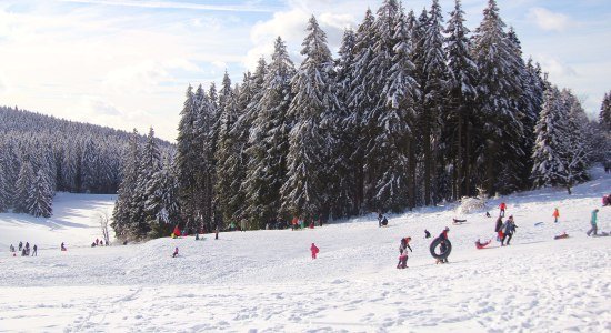 Rodler Gruppe am Bocksberg, © Erlebnisbocksberg Hahnenklee