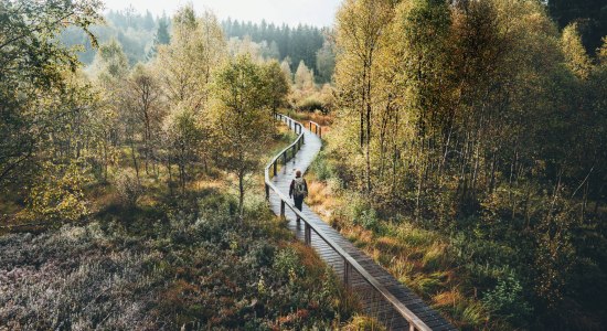 Wanderer geht über Bohlenweg im Hochmoor Mecklenbruch im Naturpark Solling-Vogler im Weserbergland
, © German Roamers/Johannes Becker