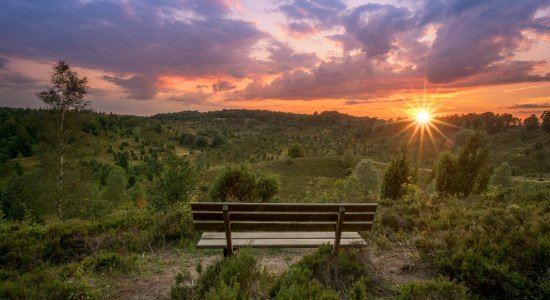 Blick auf Totengrund im Sonnenuntergang in der Lüneburger Heide , © TMN/Alexander Kaßner