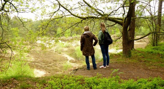 Zwei Wanderer stehen an der Sandkuhle Steinfelder Holz., © Touristikverband Landkreis Rotenburg (Wümme)  e.V. / Udo Fischer