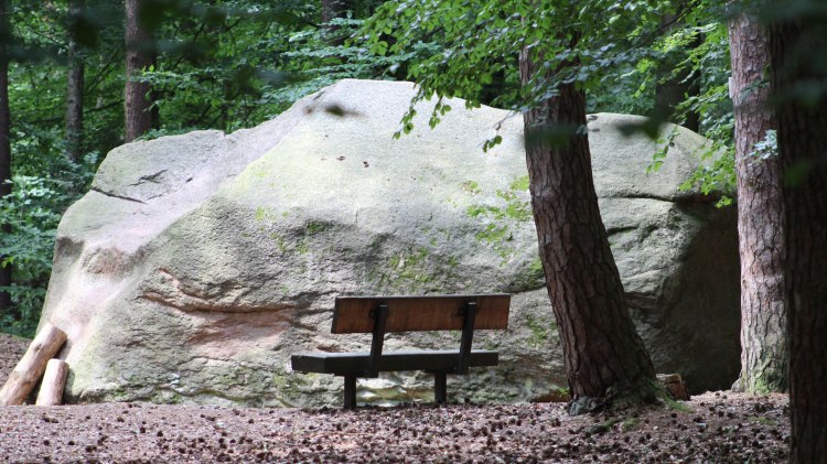 Der Giebichenstein in Steimbke ist der größte Findling Niedersachsens, © Mittelweser-Touristik GmbH