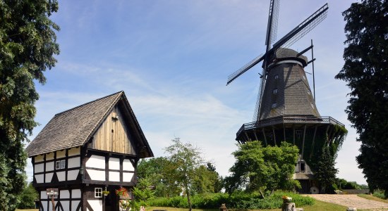 muehlenmuseumsanssouci-muehle, © Südheide Gifhorn GmbH/Frank Bierstedt