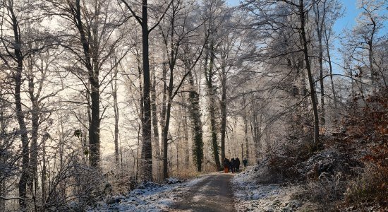 Glühwein-Wanderung, © Catharina Schütze