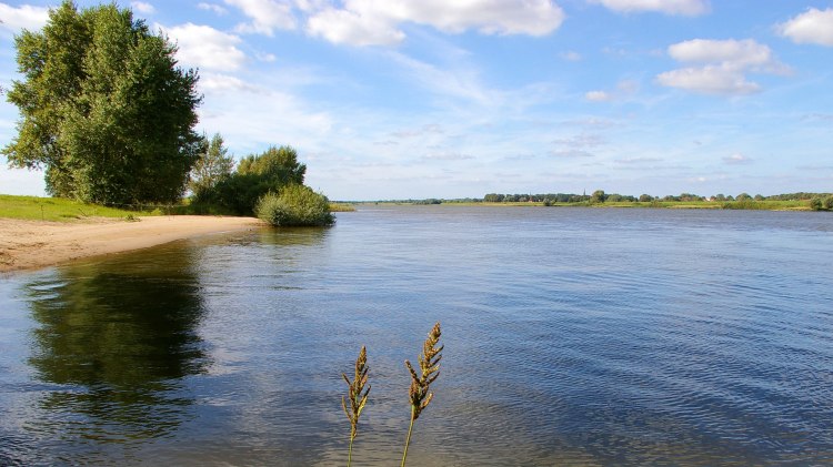 Blick auf den Fluss Elbe im Sommer bei Dömitz, © Flusslandschaft Elbe GmbH/ Jens Kowald