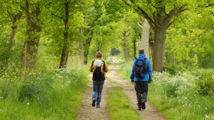 zwei Wanderer auf dem Nordpfad Hinterholz und Hohenmoor, © Touristikverband Landkreis Rotenburg (Wümme) e.V.