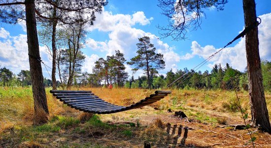 Lieblingsplatz am Nordpfad Börde Sittensen im Tister Bauernmoor, © TouROW