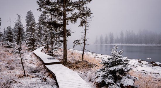 eingeschneiter Bohlenweg und See im Harz , © TMN/Markus Tiemann