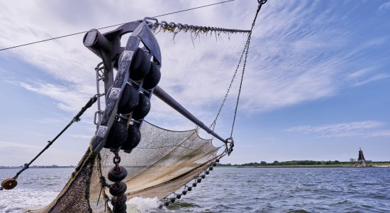 Auslaufender Krabbenkutter, Cuxhaven, © Cuxland Tourismus / Florian Trykowksi