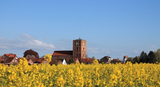 Blühendes Rapsfeld mit Störtebekerturm, © Julia Ellßel