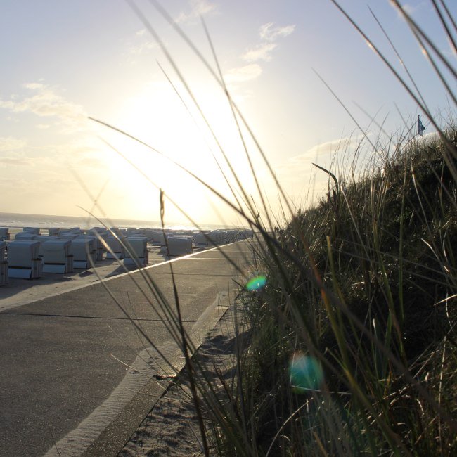 Blick auf den Strand mit Strandkörben im Sonnenaufgang, © Kurverwaltung Wangerooge