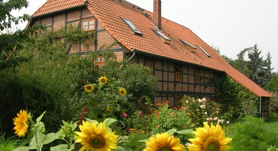 Kunsthof Mehrum im Hochsommer, © Kunsthof Mehrum / Schirin Fatemi