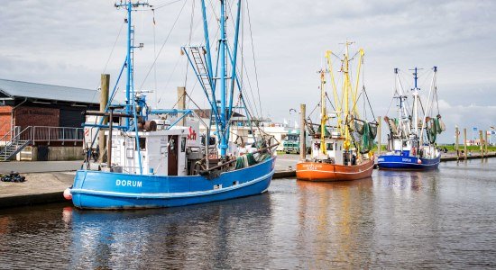 Kutterhafen Dorum-Neufeld