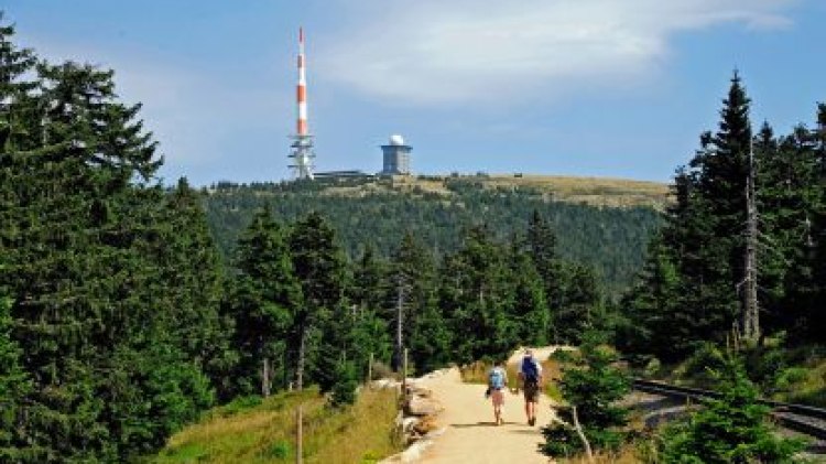 Wandern im Harz, © Levin Seegers