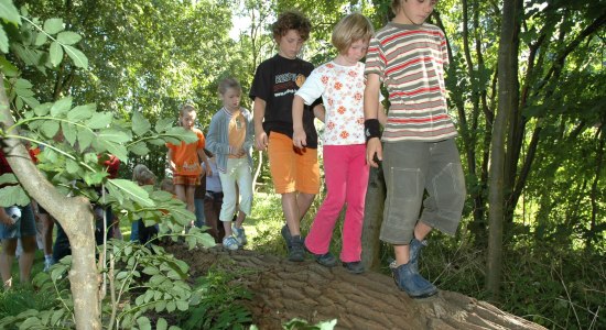 Barfuß-Parcour im Abenteuerwald des Erlebnishofes Katthusen, © Nordseeferienhöfe Mushardt