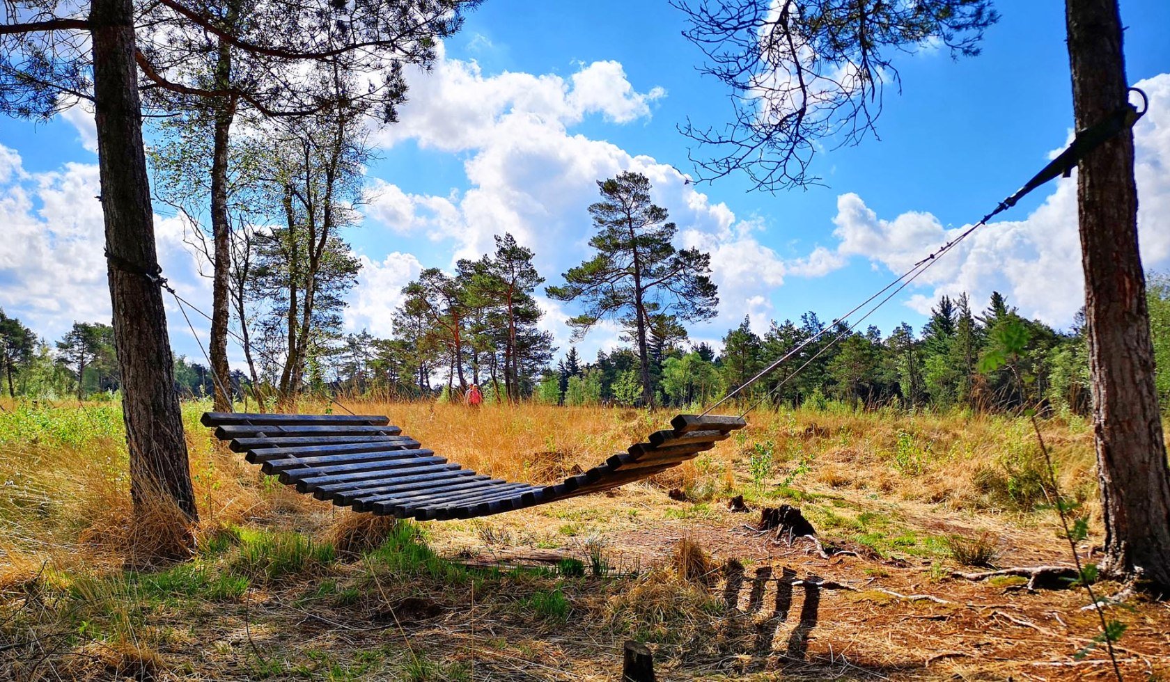 Lieblingsplatz am Nordpfad Börde Sittensen im Tister Bauernmoor, © TouROW