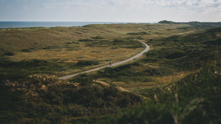 Fahrradweg inmitten weiter Dünenlandschaft auf Langeoog, © TMN/ Max Fischer 