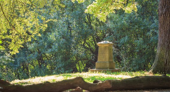 Hinüberscher Garten, © LHH, Fachbereich Umwelt und Stadtgrün / Lars Gerhardts