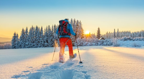 Schneeschuhwanderer in Niedersachsen, © AdobeStock_133440113