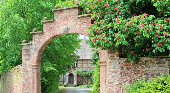 Hoftor mit Rosenbusch, © Hameln-Emmerthal/ Doris Müller